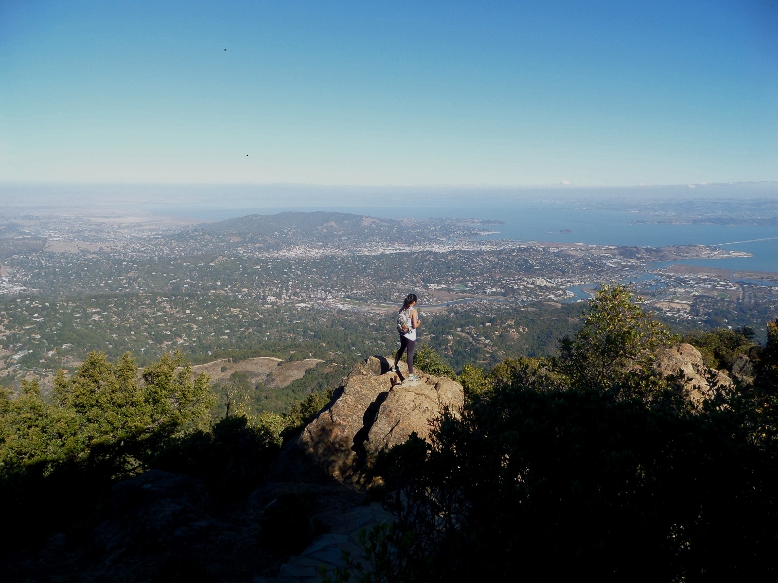 Over The Golden Gate Bridge and Through Muir Woods